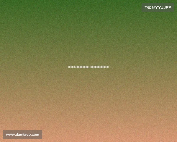 英雄联盟S赛比赛用机全面解析 高性能装备助力战队争夺冠军